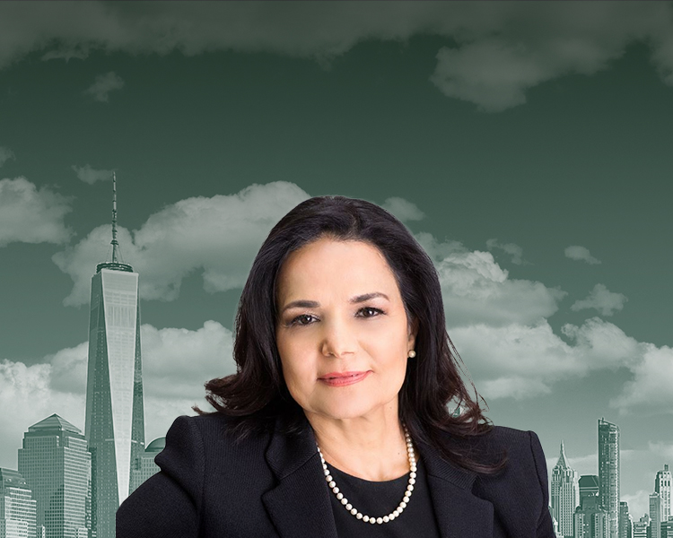 Attorney Norka M. Schell and the New York skyline
